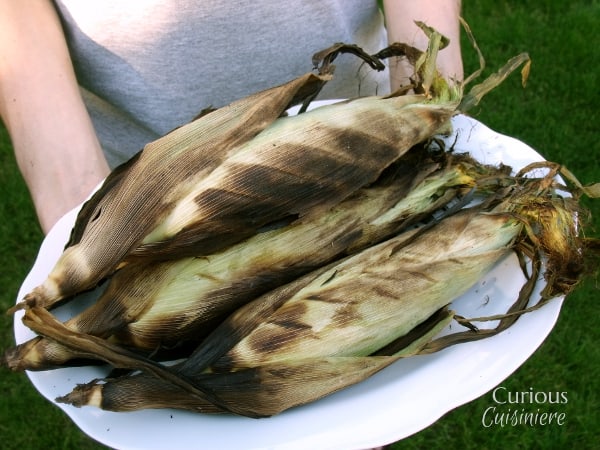 自制威斯康星州德国公平的玉米棒烤玉米从好奇烹调的玉米棒