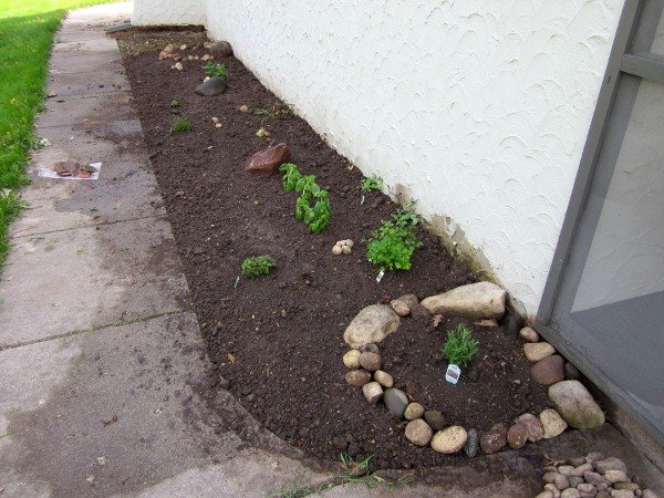 用好奇的烹饪来种植你的花园