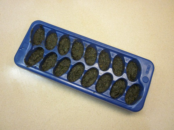 用新奇的烹饪方法冷冻保存草药