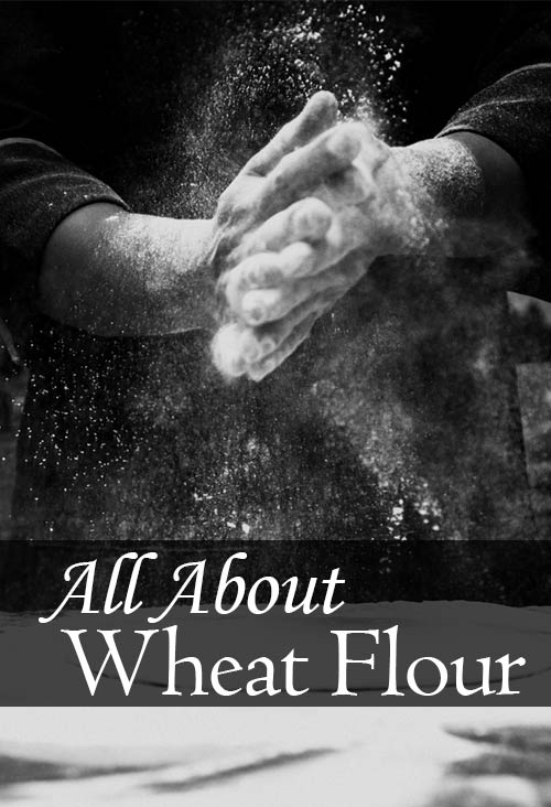 你有没有想过烘焙货架上有不同种类的小麦面粉?我们正在分解小麦粉和白面粉，自发粉和面包粉，甚至斯佩尔特粉和卡穆特粉的区别。这篇文章是你想了解的一切关于小麦面粉。