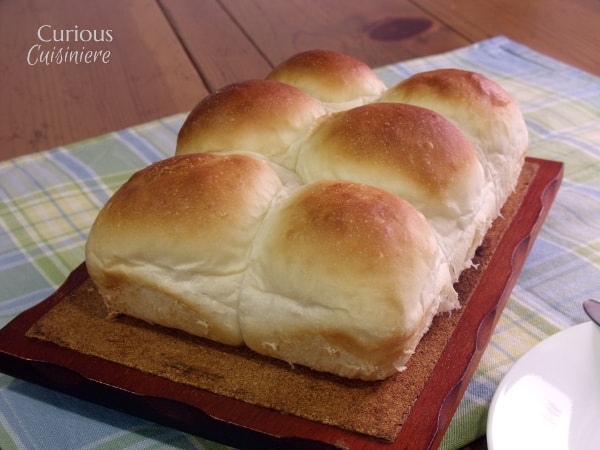 这些轻而松软的晚餐卷很容易在面包机或手工制作。给你的家人一些特别的东西!|好奇CuisinieregydF4y2Ba