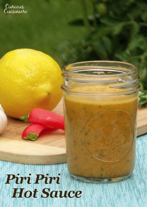 鲜亮的柠檬和辛辣的辣椒混合在一起，形成了这道万能的辣酱食谱。| m.jamahire.com