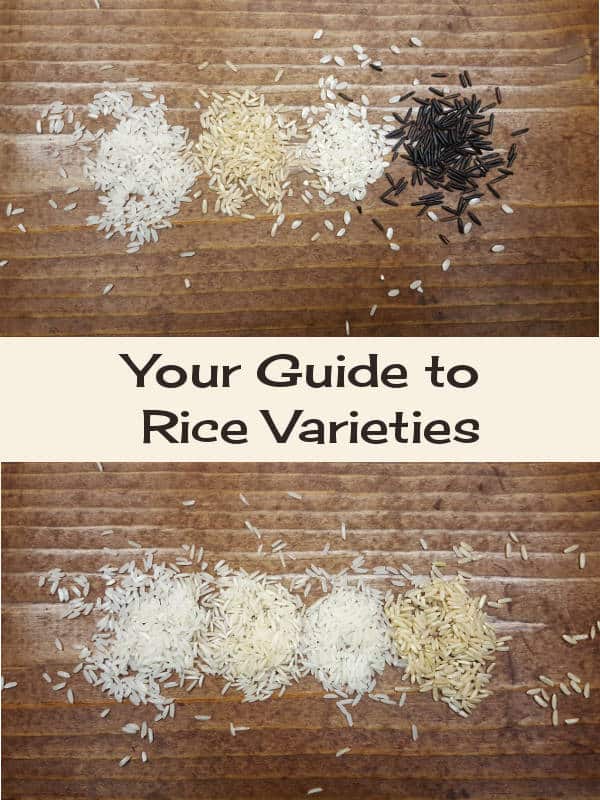 你的指南为这份工作挑选正确的米饭。|m.jamahire.com.