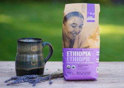 公平贸易咖啡来自地面贸易公司。从非洲地区味道单身咖啡,更多!