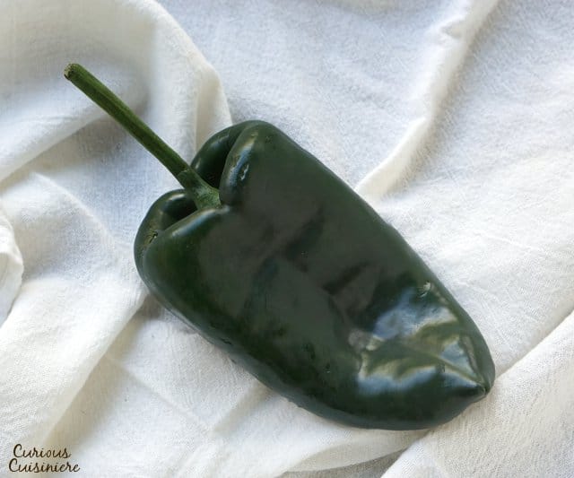 波布拉诺辣椒可以在不太辣的情况下增加辣椒的味道。| www.CuriousCuisiniere.com