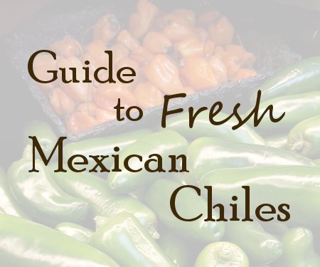这篇关于新鲜墨西哥辣椒的指南包含了所有你需要知道的关于六种墨西哥烹饪必备的新鲜辣椒，包括替代品和正宗的食谱。| www.CuriousCuisiniere.com