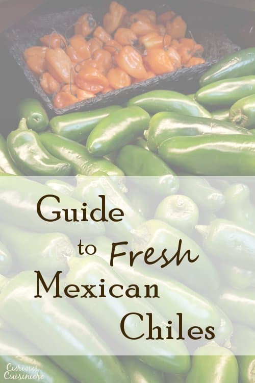 新款新鲜墨西哥智利辣椒的指南只需要了解墨西哥烹饪的六个必需的新鲜智商，包括替代品，以及真实的食谱。  | www.CuriousCuisiniere.com