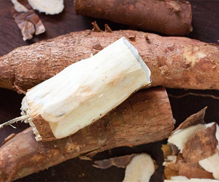 巴西奶酪面包和泡泡茶有什么共同之处？木薯。 Also known as manioc and yuca, this starchy root is widely used in South American baking (particularly gluten free baking) and cooking. | www.CuriousCuisiniere.com