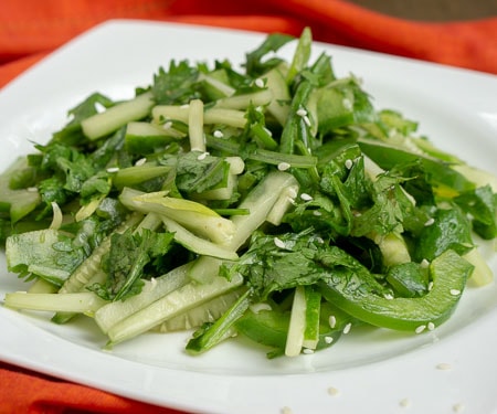 中国老虎沙拉——老虎菜——用黄瓜、香菜、青椒和芝麻油调味。在一个红色背景的白色盘子上。小的形象。