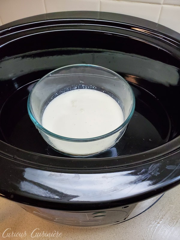 用慢炖锅自制的凝固奶油——开始