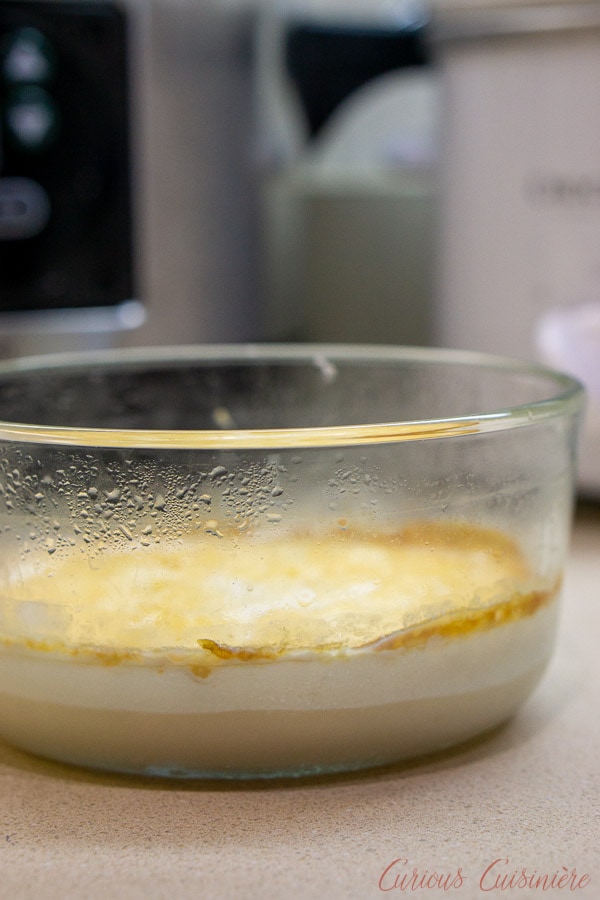 在慢炖锅 - 奶油分离中制作的自制凝固霜