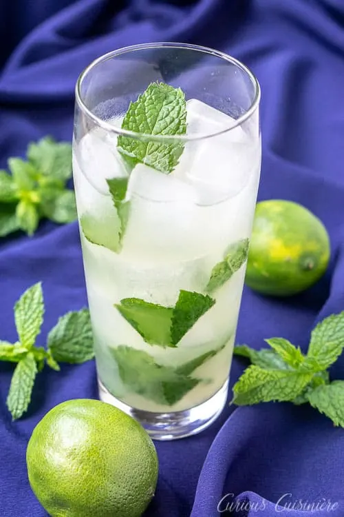 高杯中古巴莫吉托顶部有薄荷叶经典古巴莫吉托鸡尾酒用新鲜薄荷白朗姆酒制成网站CuriousCuisire.com