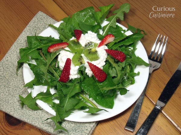 来自Curious Cuisiniere的蒲公英草莓奇异果沙拉