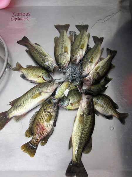 Curious Cuisiniere的《Lake To Table》