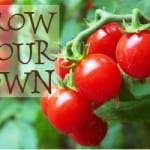 规划花园{种自己自己的}