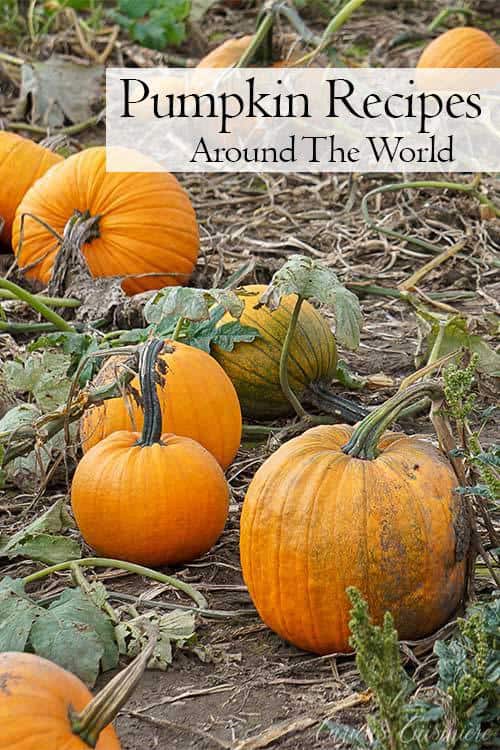 如果你今年秋天要用南瓜烹饪，那就尝试一下这些世界各地的南瓜食谱吧!| www.CuriousCuisiniere.com