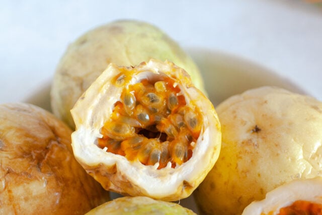 有活跃的esupmilla